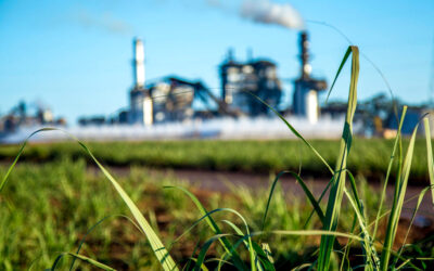 Soluciones de lubricación para la Industria Azucarera